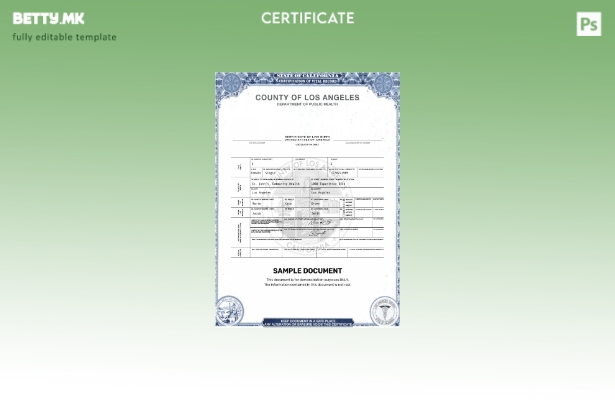 Модерен стил САД Лос Анџелес сертификат за шаблон за живо раѓање